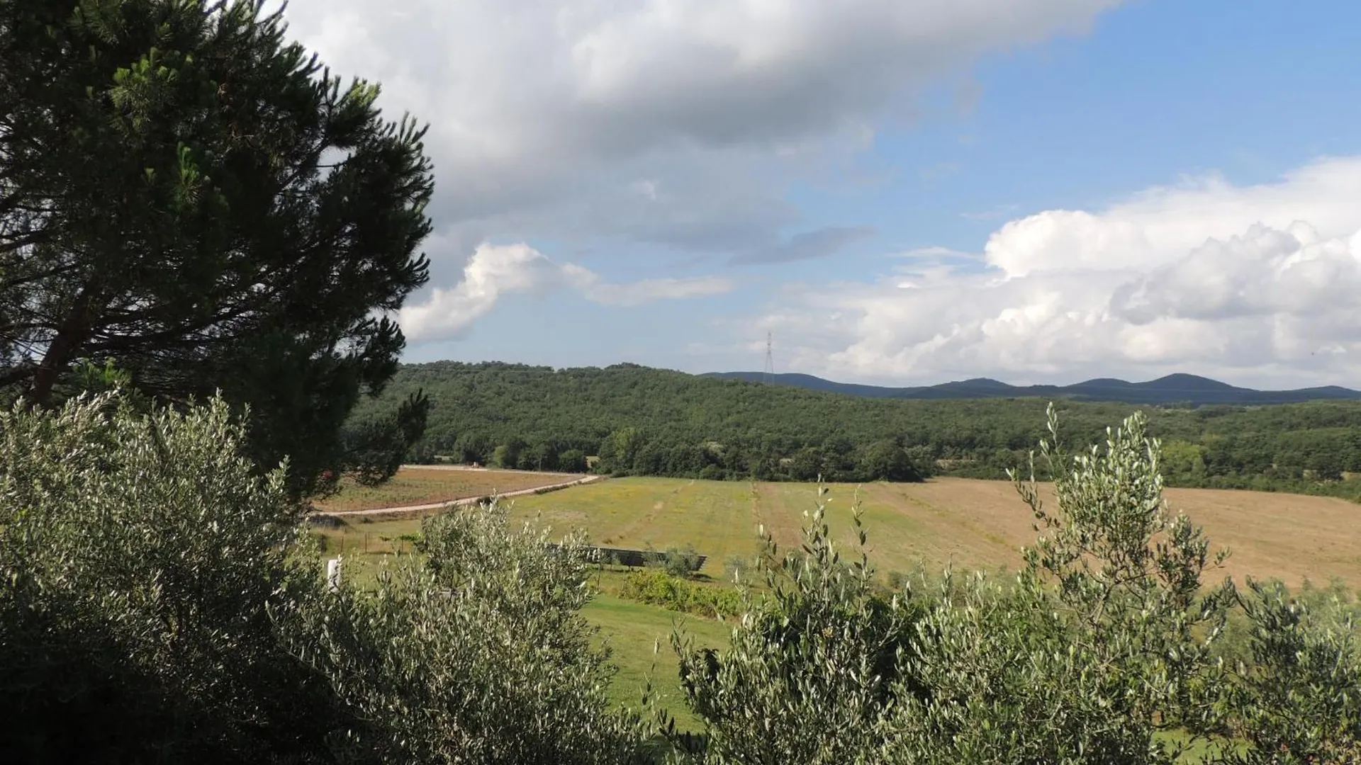 Alloggio per agriturismo Agriturismo Podere Borgognano Massa Marittima Italia