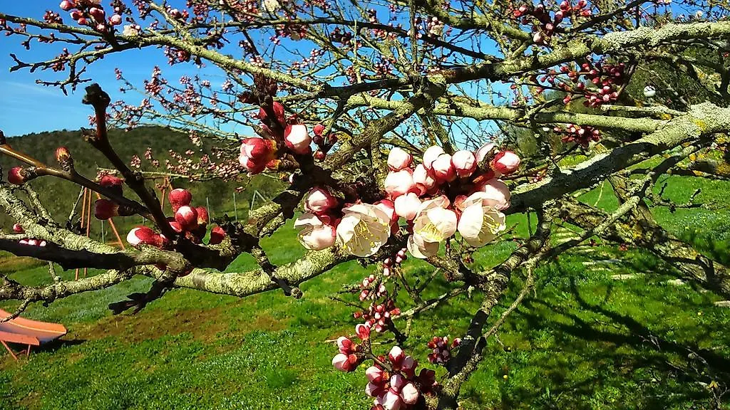 Alloggio per agriturismo Agriturismo Podere Borgognano Massa Marittima Italia