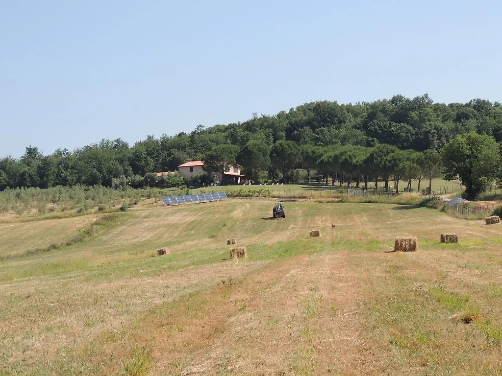 Alloggio per agriturismo Agriturismo Podere Borgognano Massa Marittima