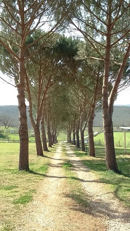 Agriturismo Podere Borgognano Massa Marittima 0*,