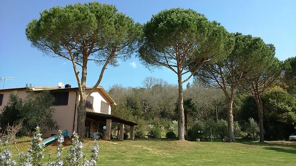 Alloggio per agriturismo Agriturismo Podere Borgognano Massa Marittima
