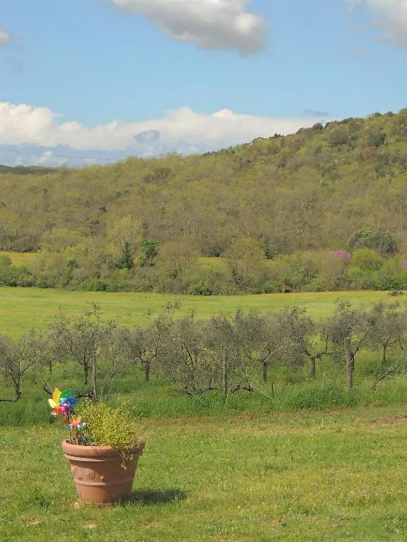 Alloggio per agriturismo Agriturismo Podere Borgognano Massa Marittima
